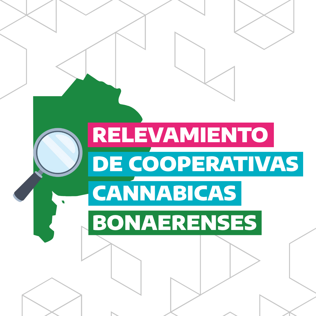 Cannabis